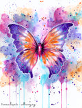 Butterfly Divine - Original Painting