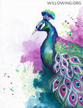 Expressive Peacock - Original Painting