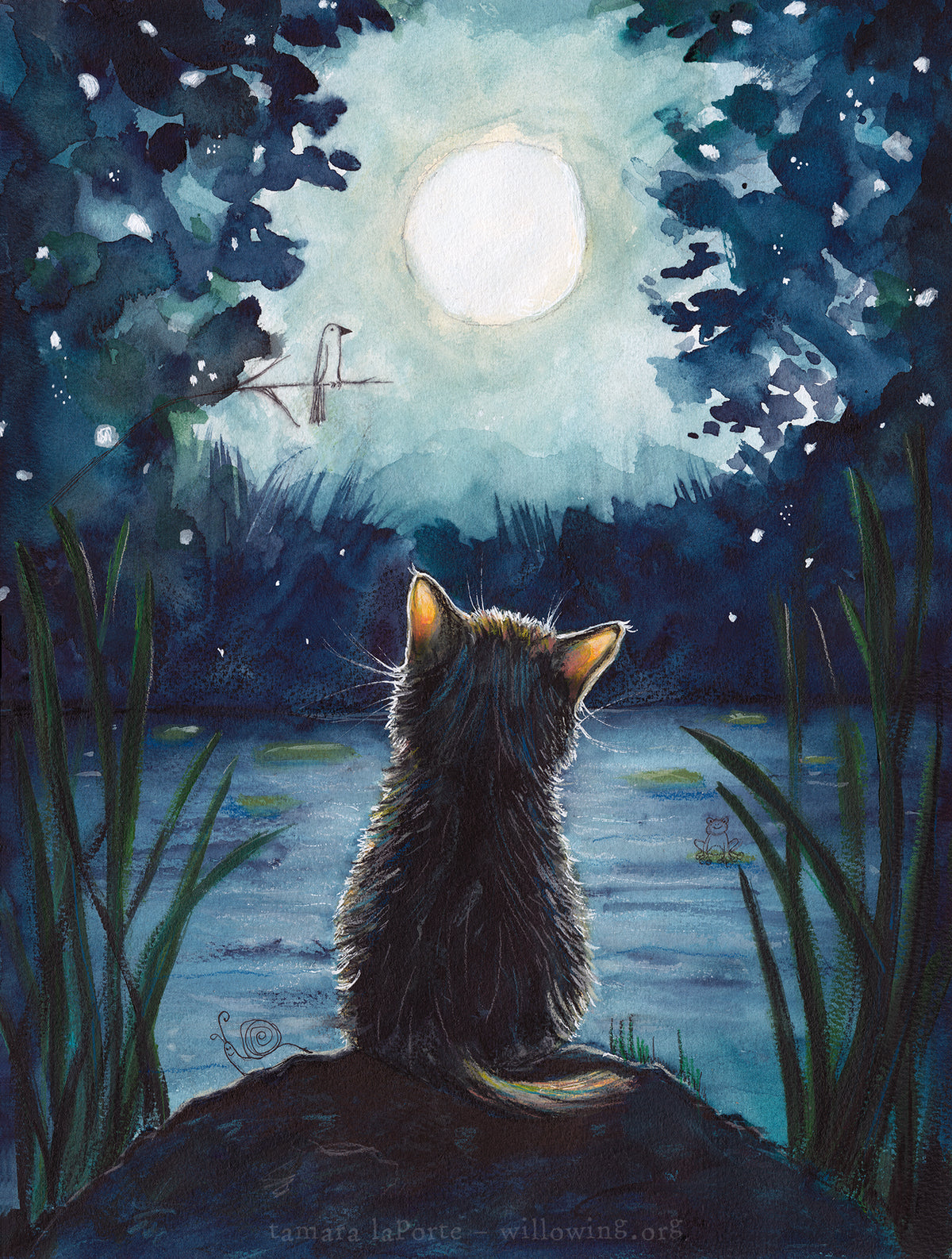Guiding Light