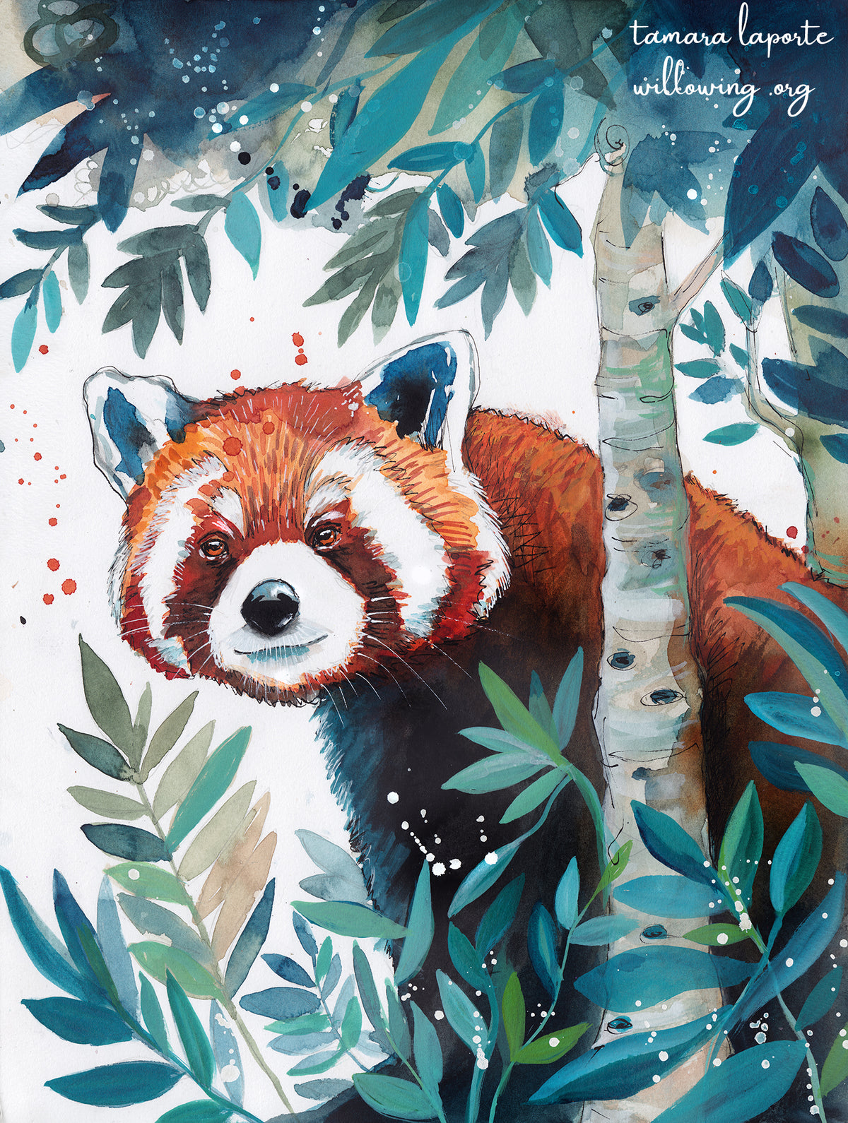 The Rambunctious Red Panda