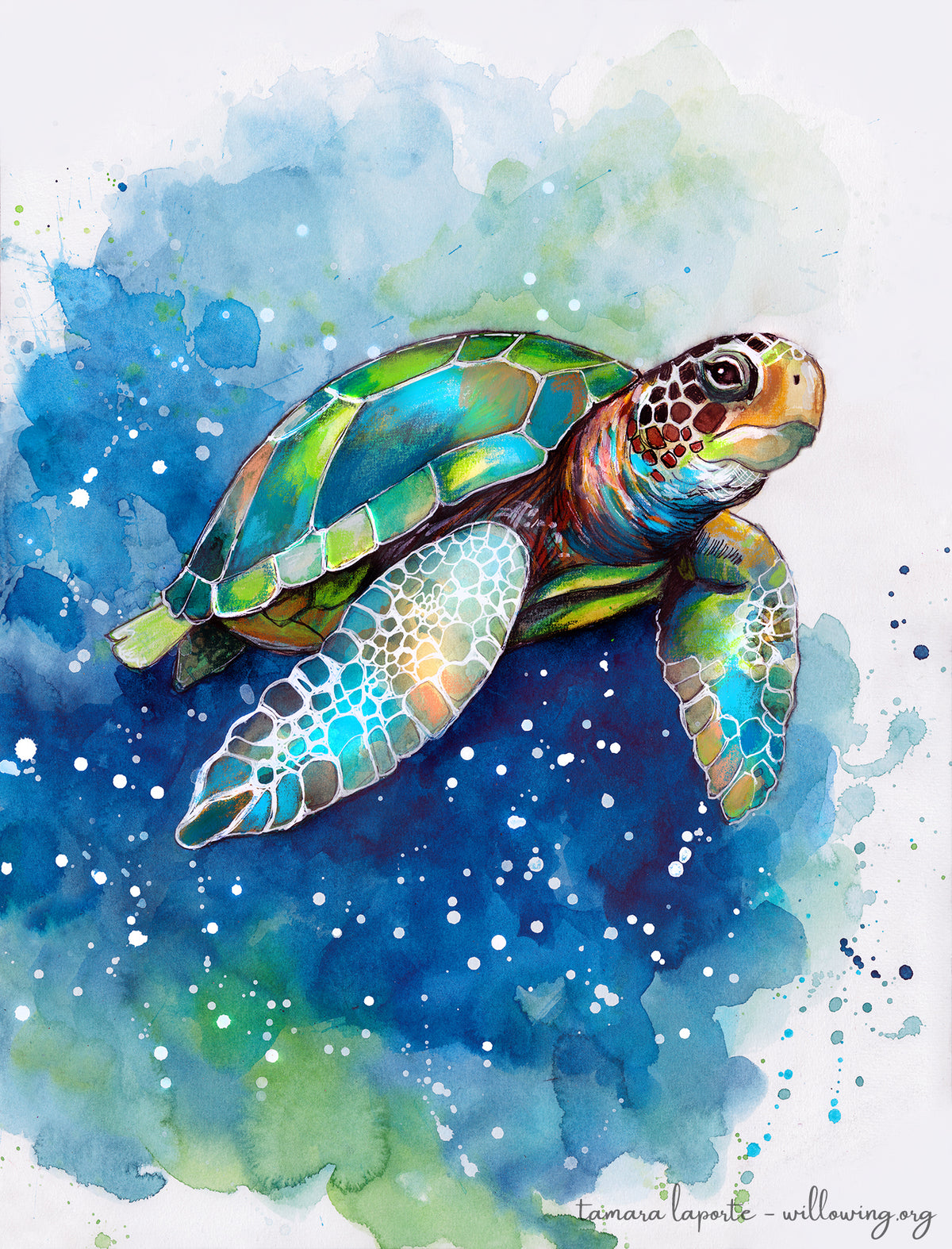 The Sacred Sea Turtle