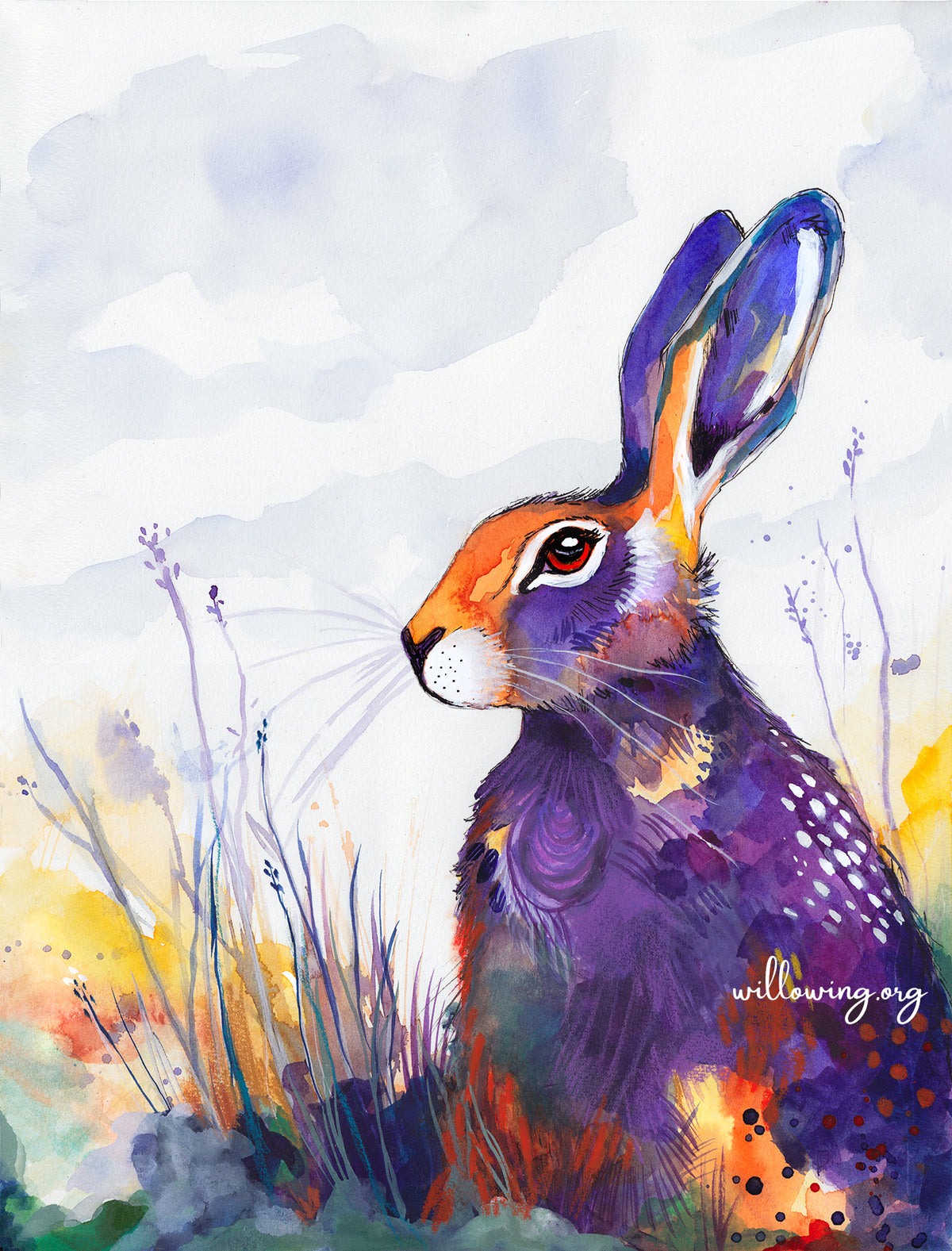 The Handsome Hare
